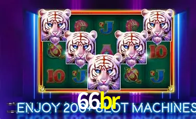 A Emoção da Loteria na 66br: Uma Chance de Mudança de Vida